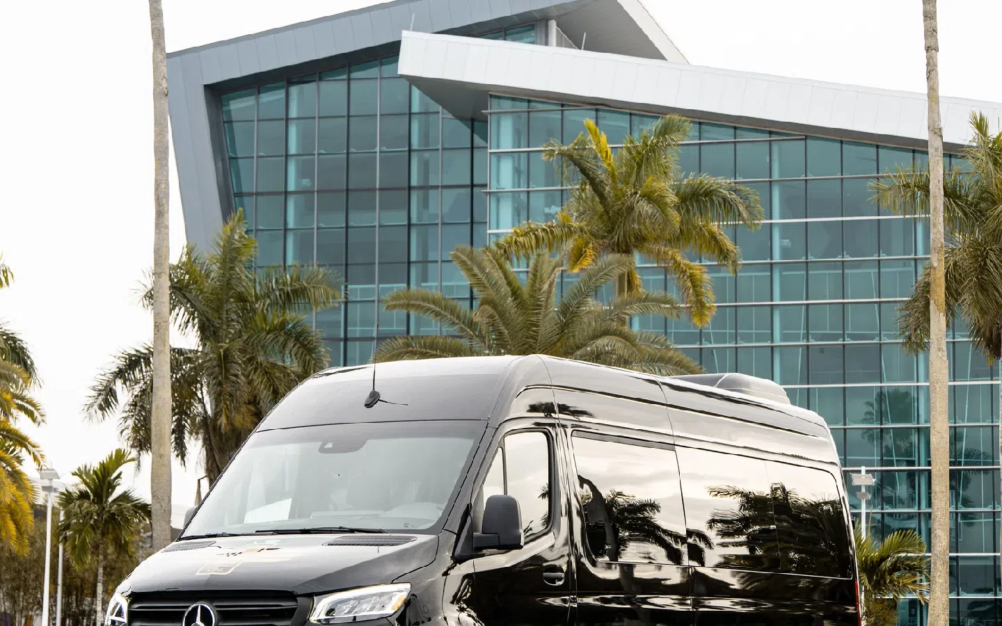 Black Mercedes luxury van exterior